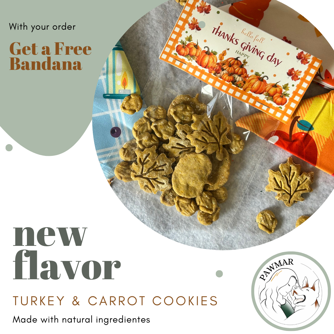 Thanksgiving Cookies