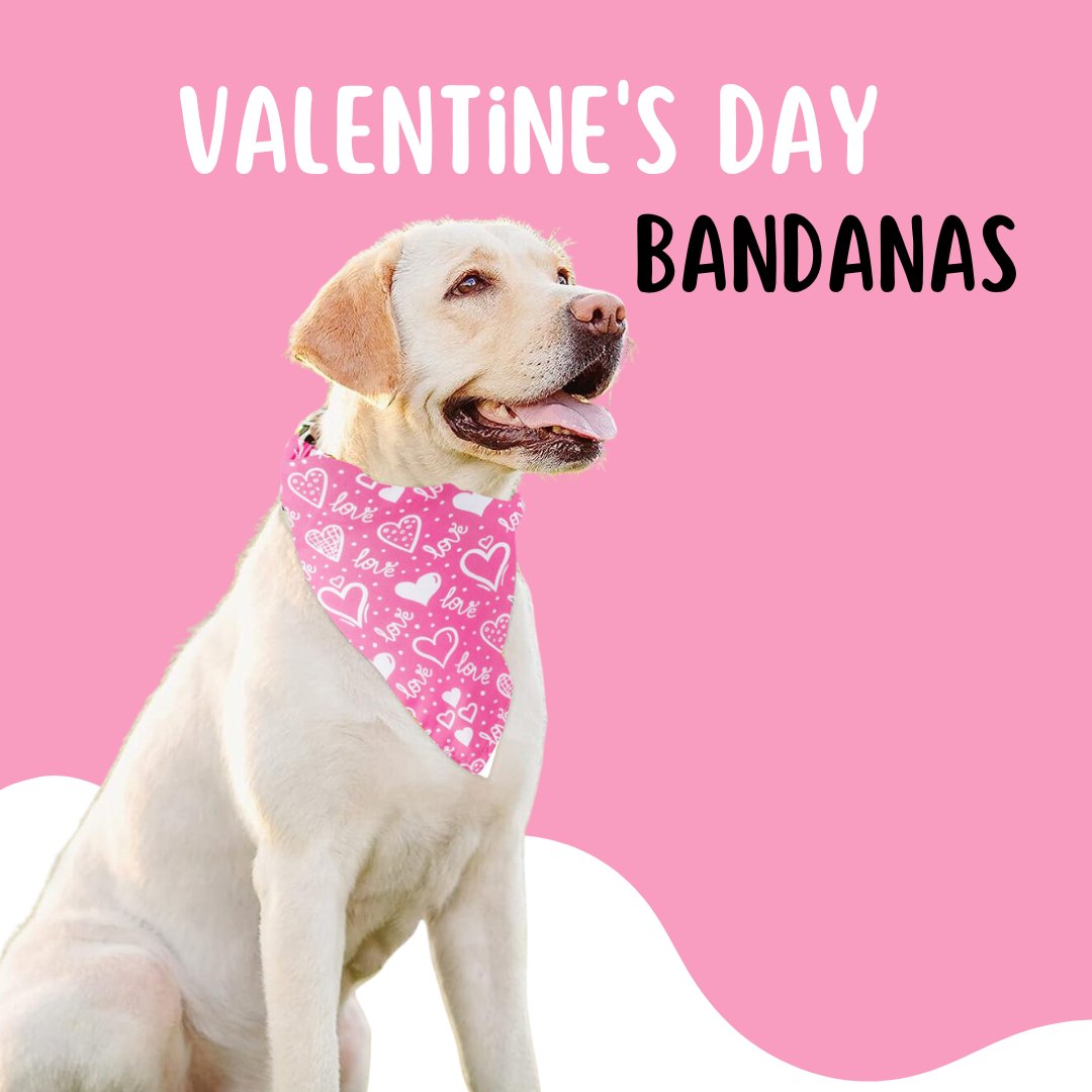 Valentine's Day Bandanas