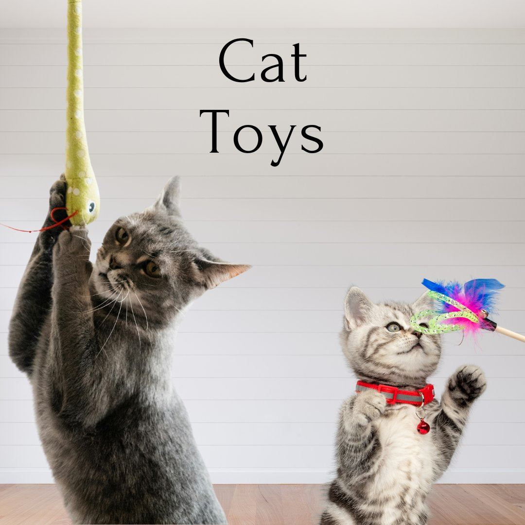 Cat Toys