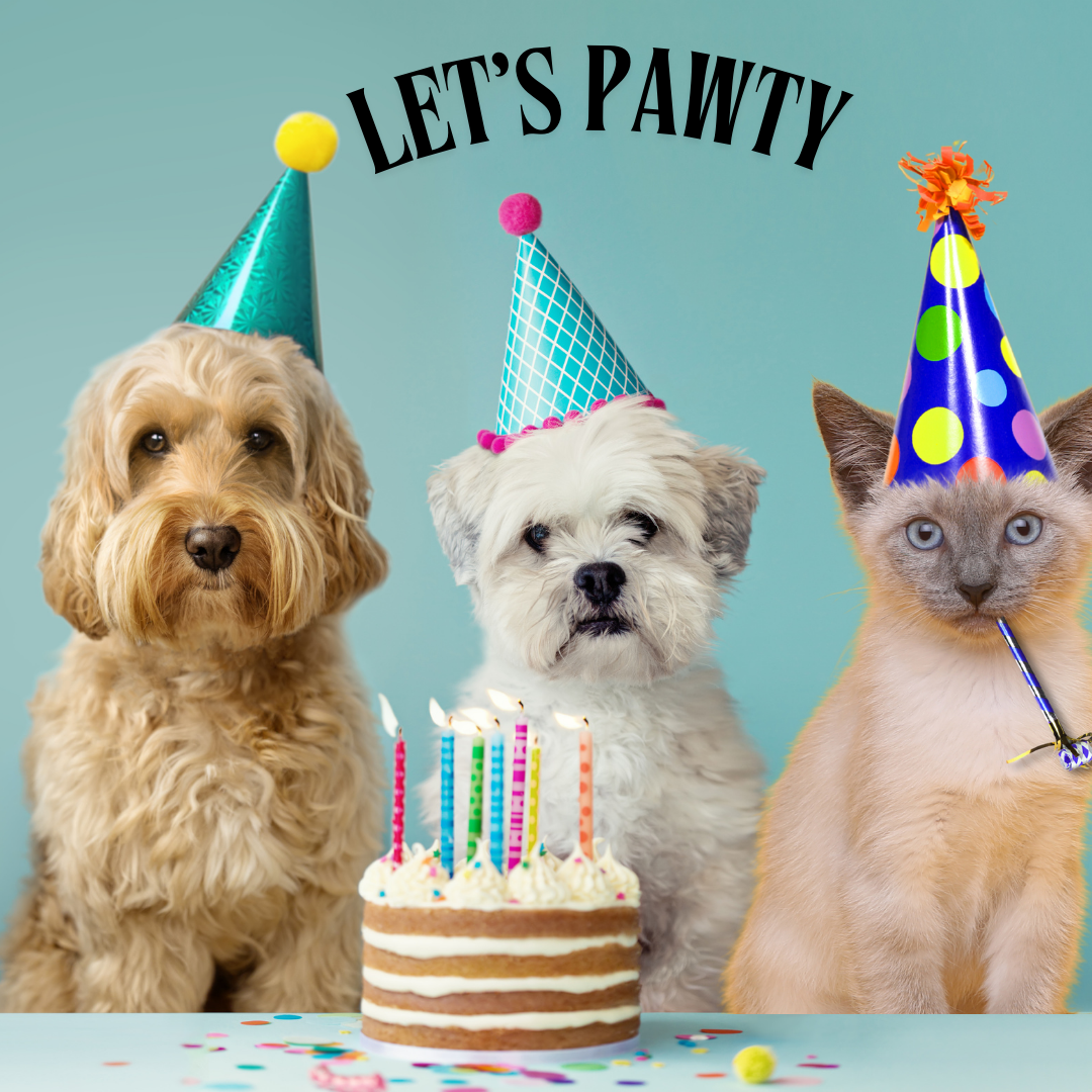 Let's Pawty