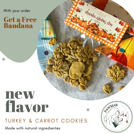 Thanksgiving Cookies